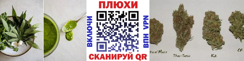 blacksprut ссылки  Каменск-Уральский  Печенье с ТГК марихуана 