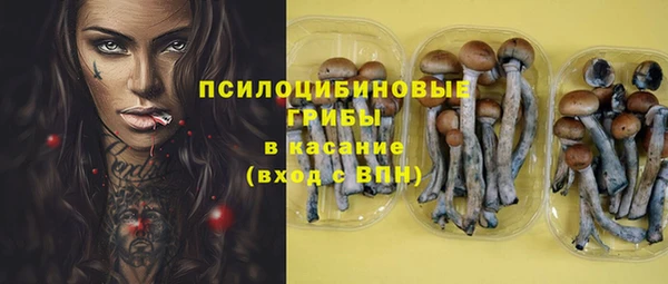 круглые Алзамай